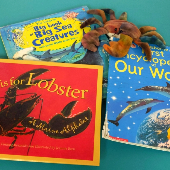 Ocean Science Other - 🔴 3/$5 Ocean/Earth Science bundle with stuffies  lot